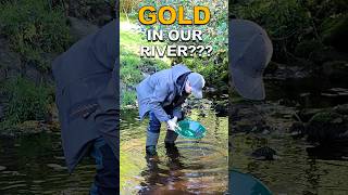 I Went Looking for Gold on Our Farm