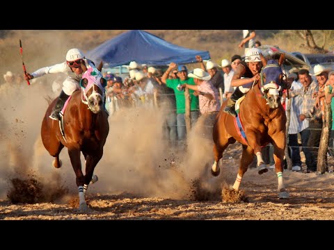 Carreras de Caballos en Meresichic 17 Mayo 2025