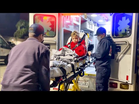 Ollie's Broken Leg Journey 🚑