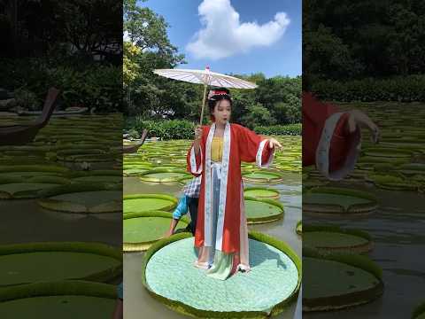 How Strong Lotus Leaf?