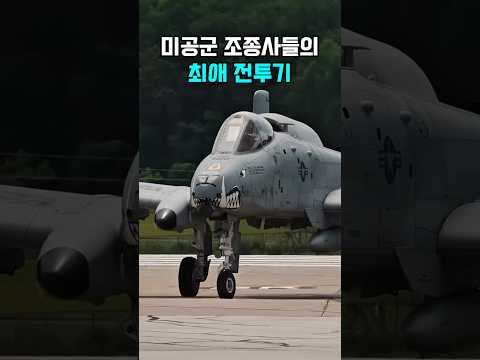 미공군 조종사들의 예상밖 최애 전투기