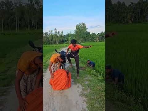 in the middle of the road