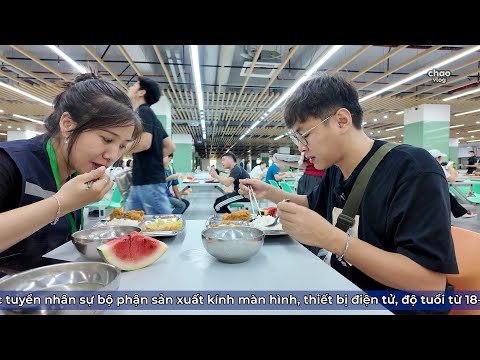 100 Lý Do Để Bạn Đi Làm Ở Công Ti "Sướng Nhất Việt Nam"..!!