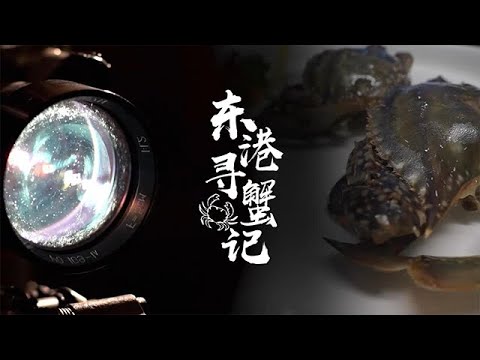 【妥妥的鄉味】2025第72期：東港尋蟹記