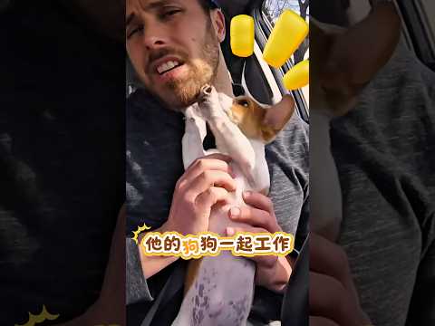 可愛的狗狗驅散了乘客們的壞心情（YT：Driver Eddi)