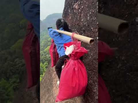 The house is built on the mountains to protect it from animals।#shortvideo।