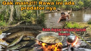 Gak main2!!! Rawa ini ada predator nya | salah dugaan ternyata banyak ikannya
