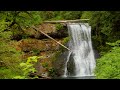 Photography Insights and Techniques