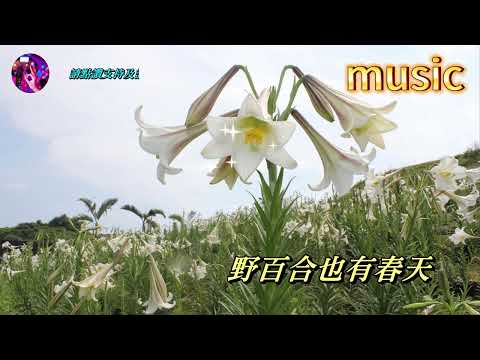 野百合也有春天〈華語〉孟庭葦KTV 伴奏 no vocal 無人聲 music 純音樂 karaoke 卡拉OK 伴唱野百合也有春天〈華語〉孟庭葦