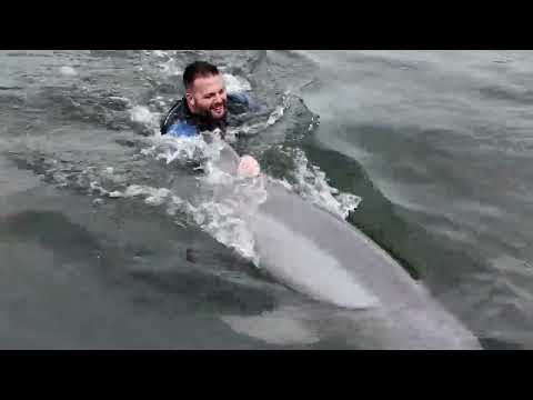 Wounded Warriors Interact with Dolphins in the Florida Keys