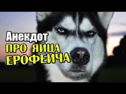 Анекдот про слугу Ивана и яйца Ерофеича. Новый, свежий анекдот. Смешная шутка.