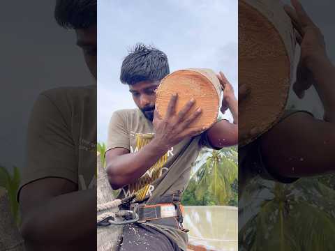 8610339350 top tree cutter