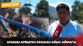 Арышы арбыган Арашан айыл аймагы // АЙЫЛ ДЕМИ берүүсү