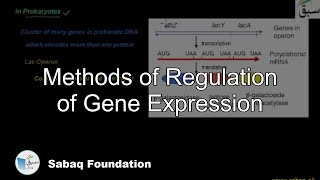 Methods of Regulation of Gene Expression