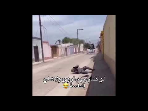 ستوريـات بنات كيـوت، ستوريـات بنـات انستـا كيـوت بـدون كتابـه فيديوهـات كيـوت بـدون حقـوق 💜.