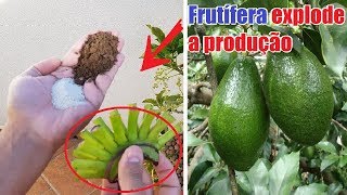 Isto faz qualquer frutífera produzir(expode a produção)