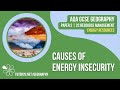 Energy Security and Policy Challenges