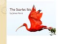 The Scarlet Ibis: Key Themes and Characters