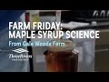 Maple Syrup Production and Measurement