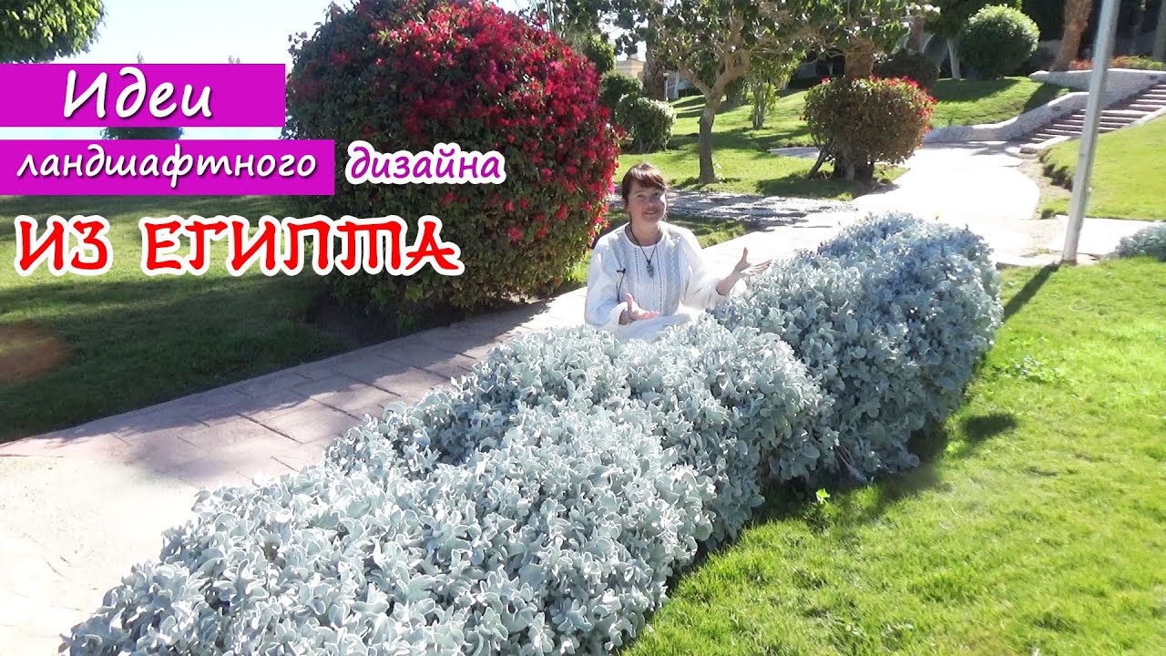 Идеи ландшафтного дизайна из Египта! Подсматриваем и реализуем на своих участках!
