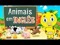 Farm Animals in English
