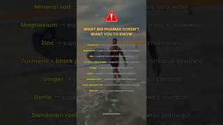 What Big Pharma Doesn’t Want You To Know