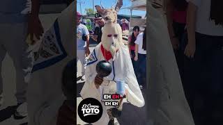 bailamos con unos therians de sonora!! #compatoto #comedia #humor #therians #viral