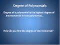 Understanding Polynomials and Monomials