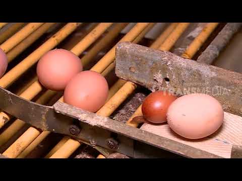 LAPTOP SI UNYIL | UNGGAS SERBA GUNA (27/12/18) Part 1