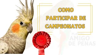 COMO PARTICIPAR DOS CAMPEONATOS DA FOB ?!