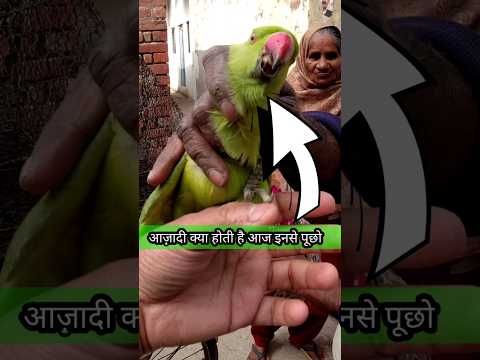 आज़ादी क्या होती है ! Cycle wale ke sare tote uda diye | Release Parrot | #shorts #ytshorts #parrots