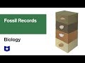 Fossils and Extinction Concepts