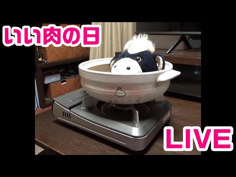 明日はいい肉の日！パペットマペットのカウントダウン雑談生放送🐮🐸