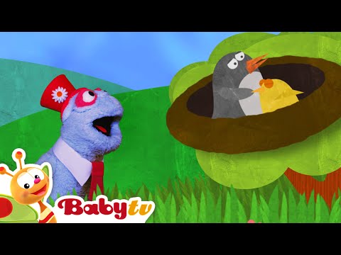 Çocuklar için bulmacalar, müzik ve eğlence 🎉 🧒| İlk kavram oyunları @BabyTVTR