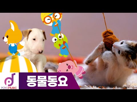 뽀로로 노래 | 동물친구들 | 뽀로로와 동물친구들 | 동물동요 | DJ뽀로로의 뮤직 스테이션