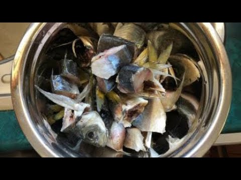 PAANO ANG PAGGAWA NG FISH AMINO ACIDS [FAA]