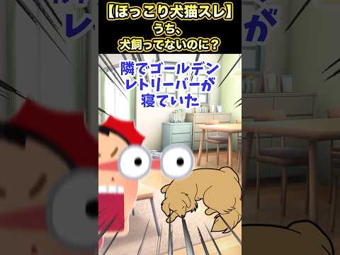 【ほっこり犬猫スレ】うち、犬飼ってないのに？