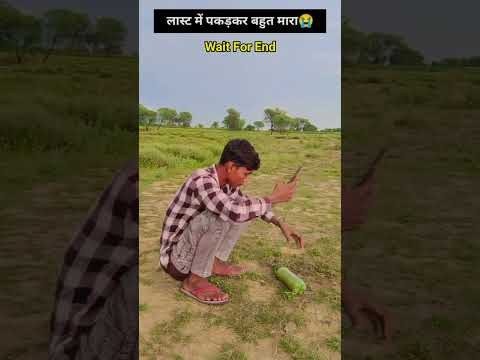 लास्ट में बहुत मारा 😂 Funny Video/Comedy Video/Viral Shorts #trending #shorts #funny #youtubeshorts