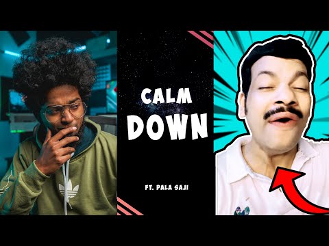 Calm Down Remix ft. Pala Saji 😎 | Dialogue With Beats | Ashwin Bhaskar