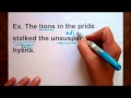 Exploring the Concept of Complements in Grammar