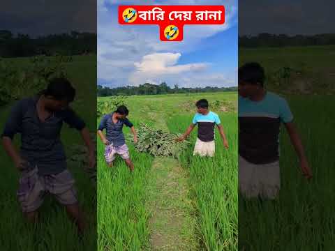 বারি দেয় রানা | #shorts #comedy #funny #viral