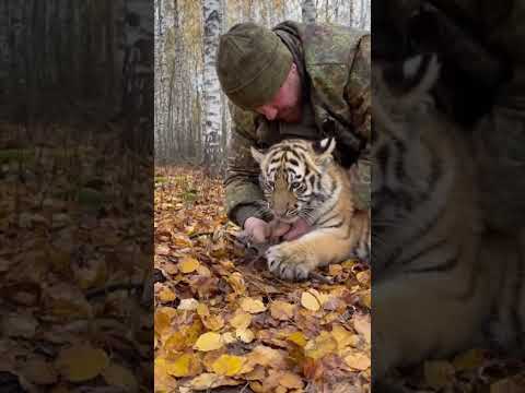 Тише маленький потерпи еще немного...