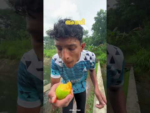 നാട് മിസ്സ്‌ ചെയ്യുന്നുണ്ടോ 🥺#mango #oldschool #atwovlogs #kerala #pravasi #love