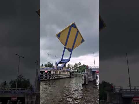 Only the Dutch can Build a Bridge Like THIS?!