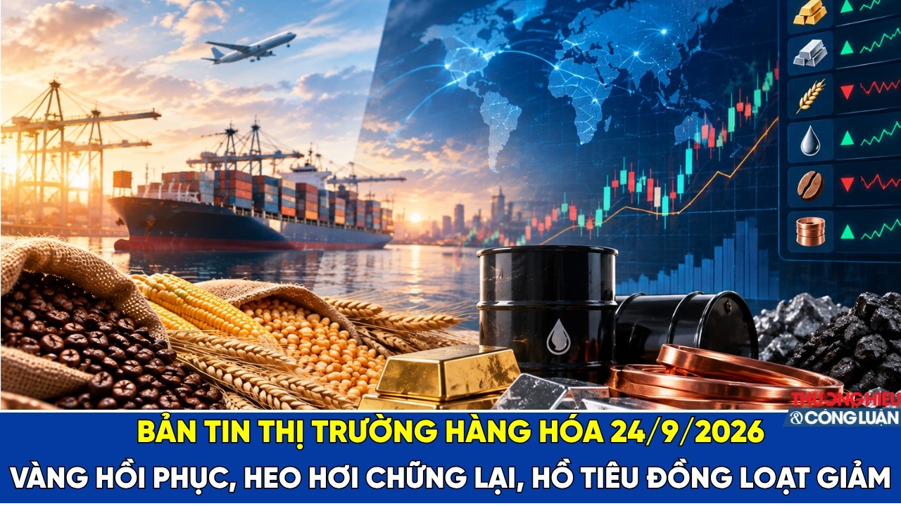 Bản tin thị trường hàng hóa ngày 24/9/2026: Vàng hồi phục, heo hơi chững lại, hồ tiêu đồng loạt giảm