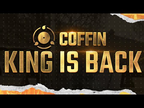 Coffin Stream Highlights #1