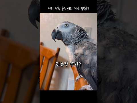 루이야! 김유정 좋으면 머리를 털어봐 🤭