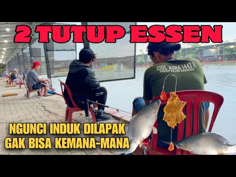 EDAN‼️ Begini Caranya Datangkan Induk & Kunci Induk Dilapak Kita