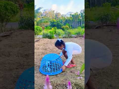 My cute cat and me #youtubeshorts #catlover #cute