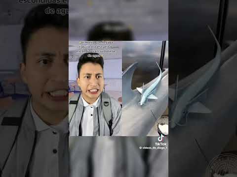 El morro que llevaba tequila a la escuela a escondidas en su botella de agua
